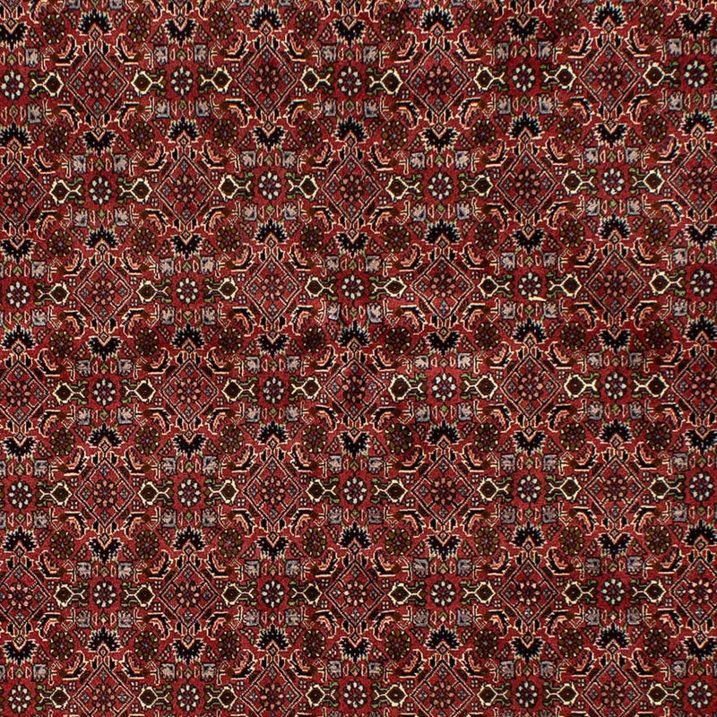 Bidjar Teppe 245x177cm - Persisk teppe