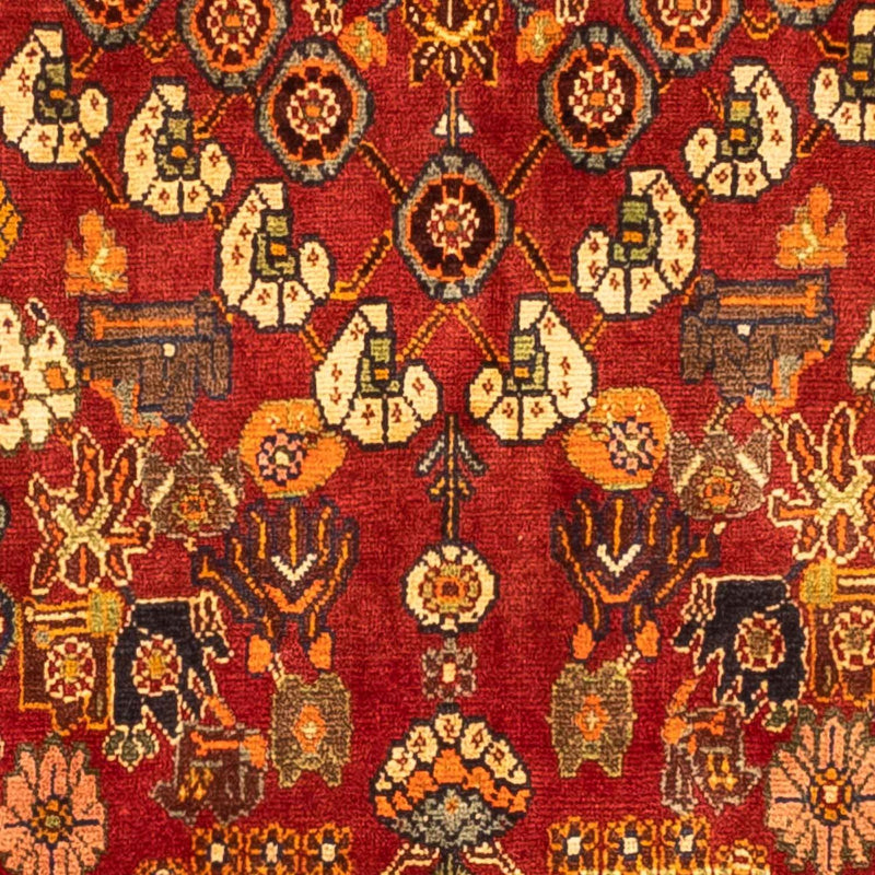 Qashqai Teppe 277x169cm - Persisk teppe