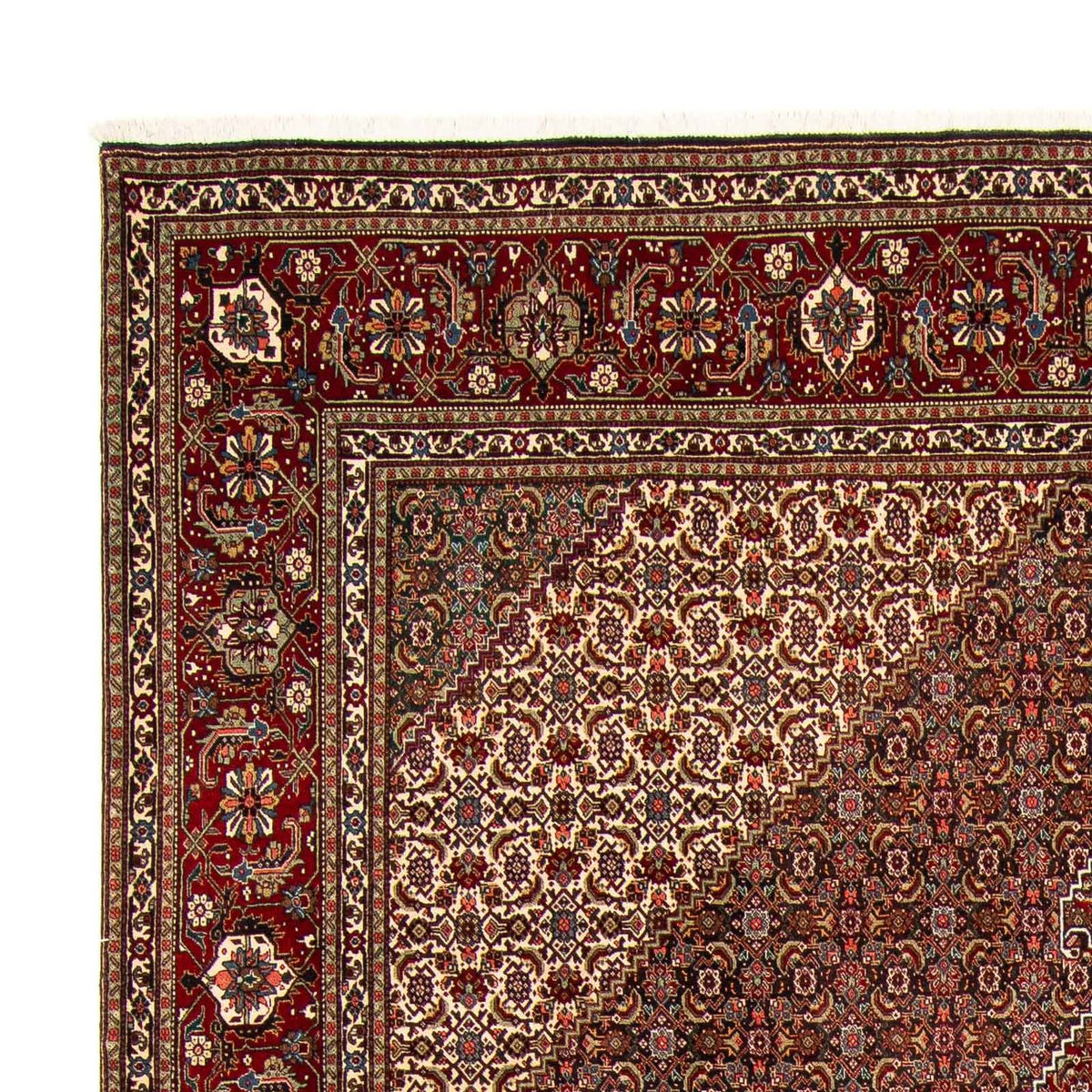 Tabriz Teppe 302x391cm - Persisk teppe