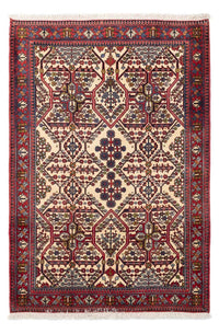 Abadeh Teppe 160x110cm - Persisk teppe – product image