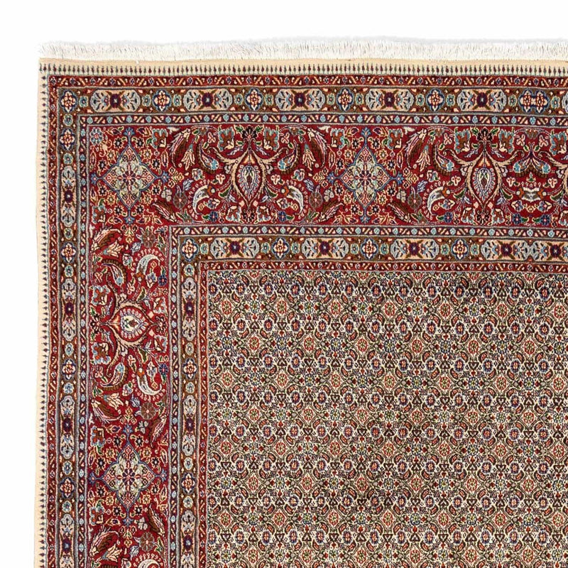 Moud Teppe 346x238cm - Persisk teppe