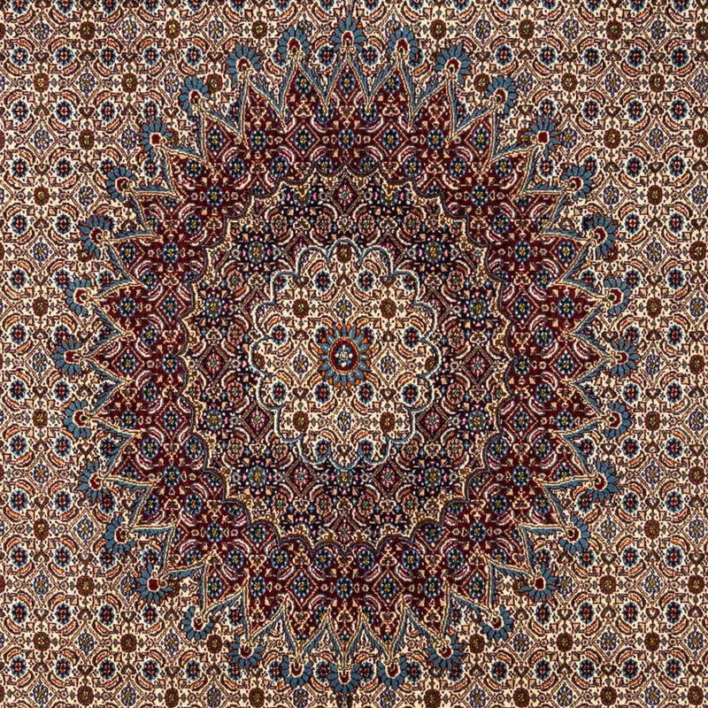 Moud Teppe 347x243cm - Persisk teppe