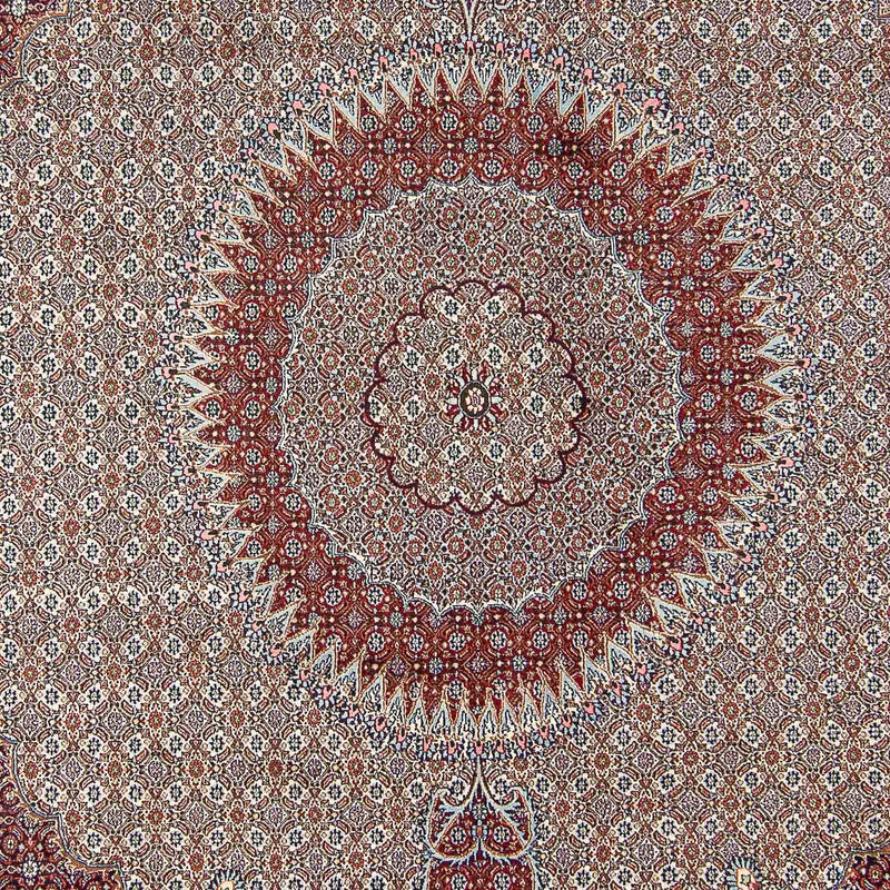 Moud Teppe 392x300cm - Persisk teppe
