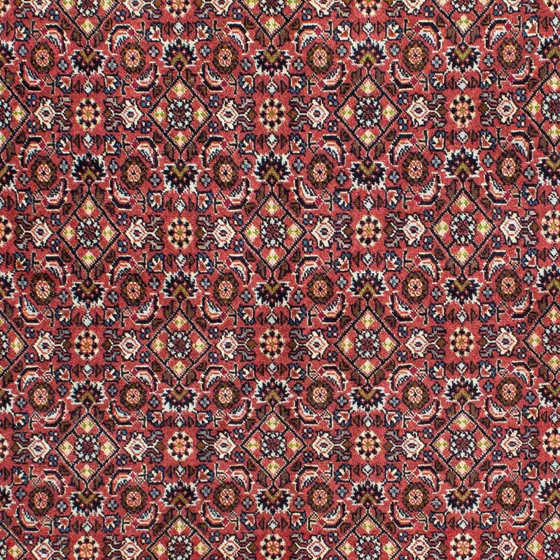 Bidjar - Zanjan Teppe 215x140cm - Persisk teppe