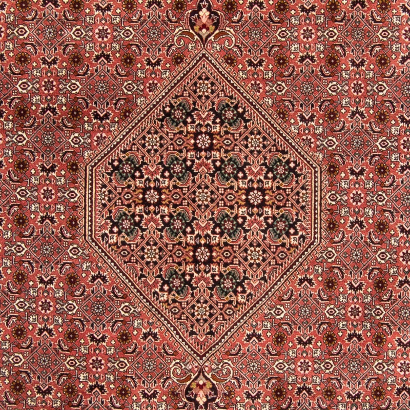 Bidjar Teppe 248x340cm - Persisk teppe