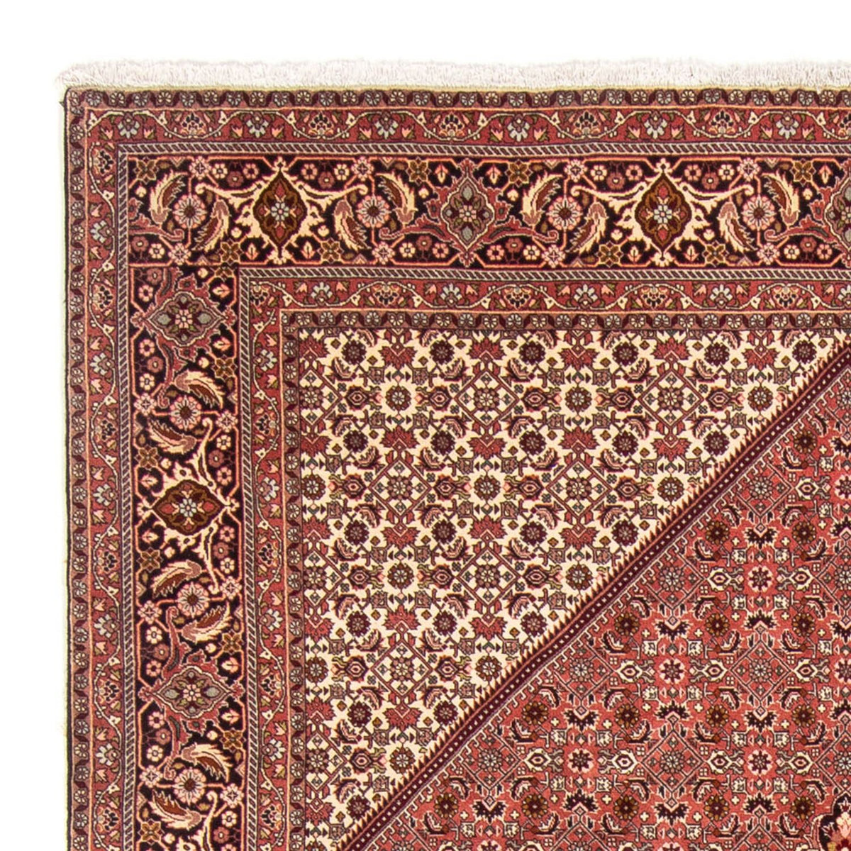 Bidjar Teppe 248x340cm - Persisk teppe