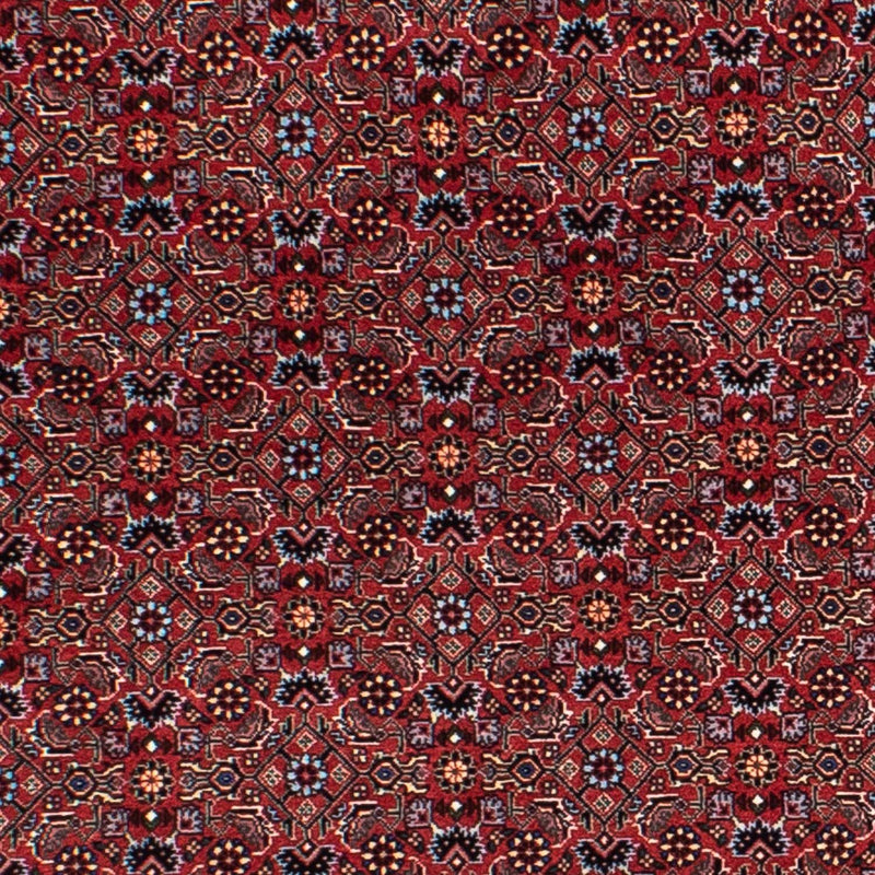 Bidjar Teppe 160x160cm - Persisk teppe