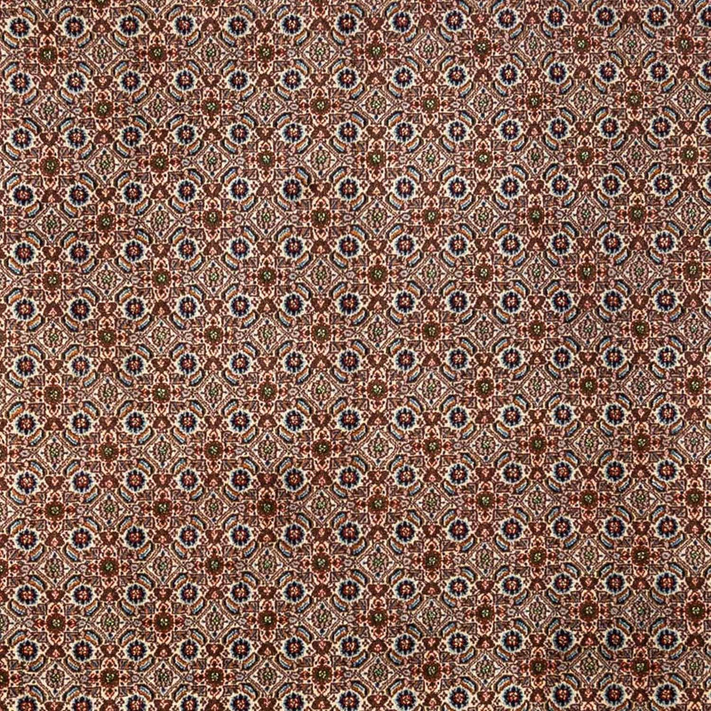 Moud Teppe 350x260cm - Persisk teppe