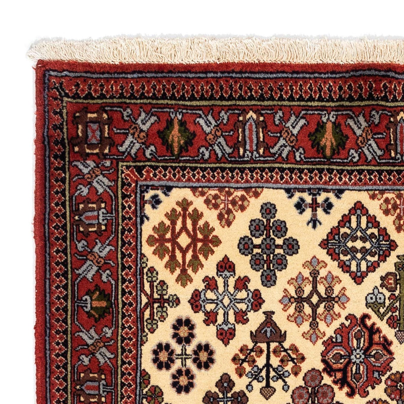 Meymeh Teppe 158x112cm - Persisk teppe