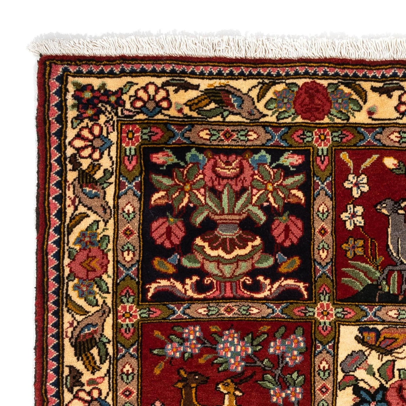 Bakhtiari Teppe 164x111cm - Persisk teppe