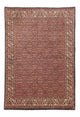 Bidjar Teppe 251x172cm - Persisk teppe