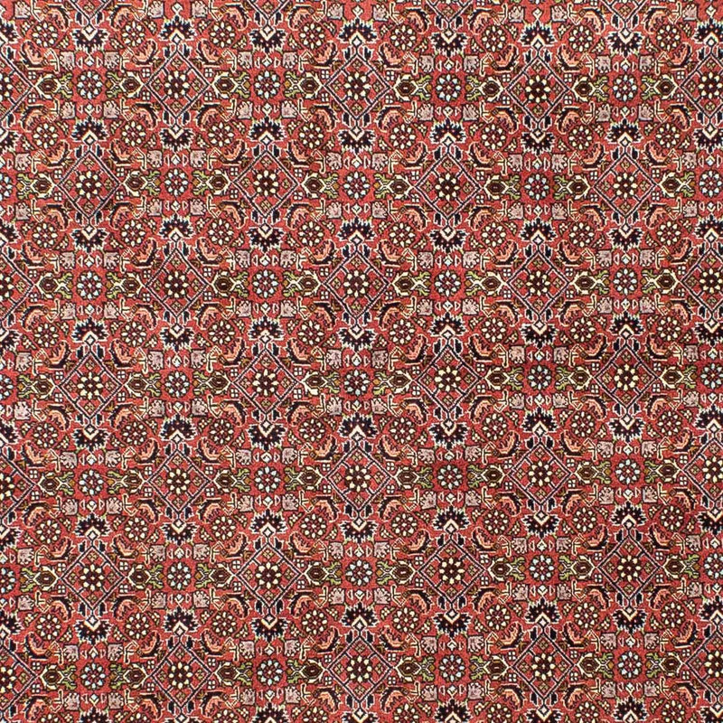 Bidjar Teppe 251x172cm - Persisk teppe
