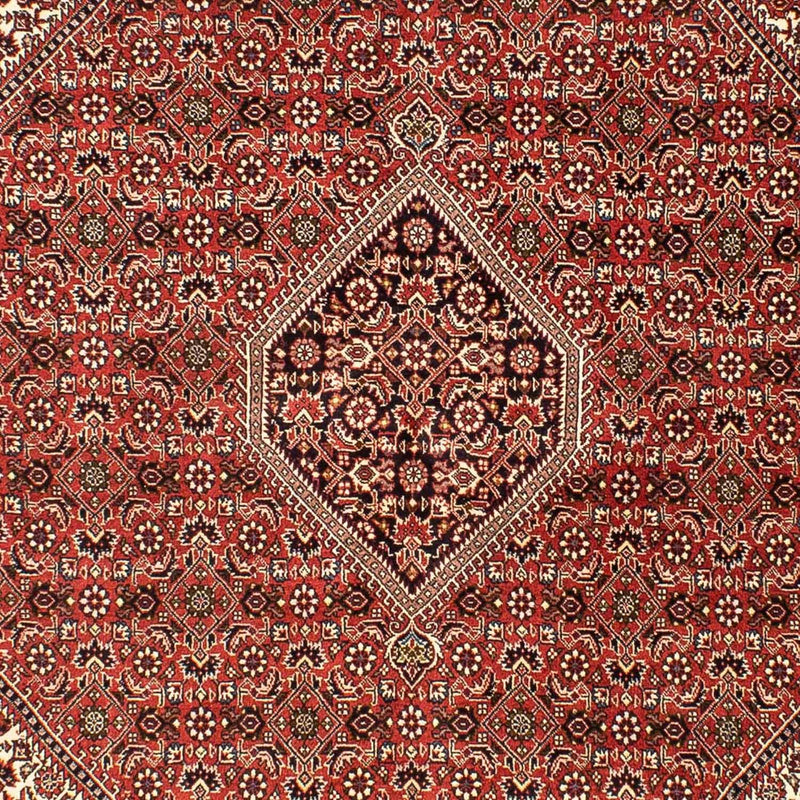 Bidjar Teppe 242x173cm - Persisk teppe