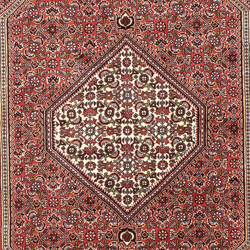Bidjar Teppe 255x170cm - Persisk teppe