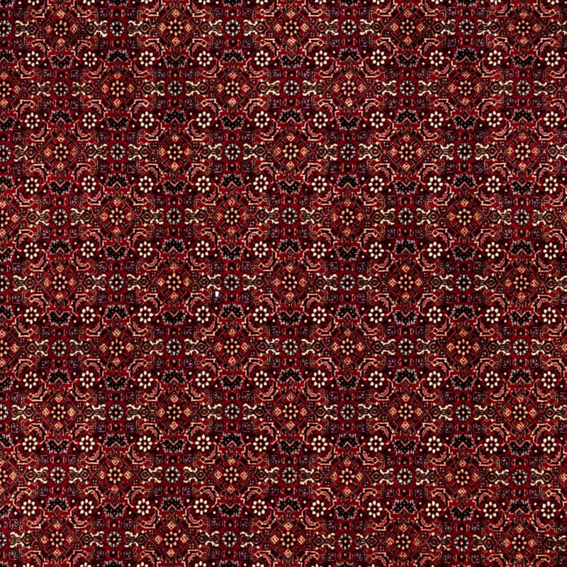 Bidjar - Zanjan Teppe 350x250cm - Persisk teppe