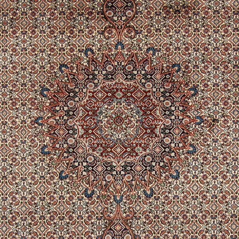 Moud Teppe 294x206cm - Persisk teppe