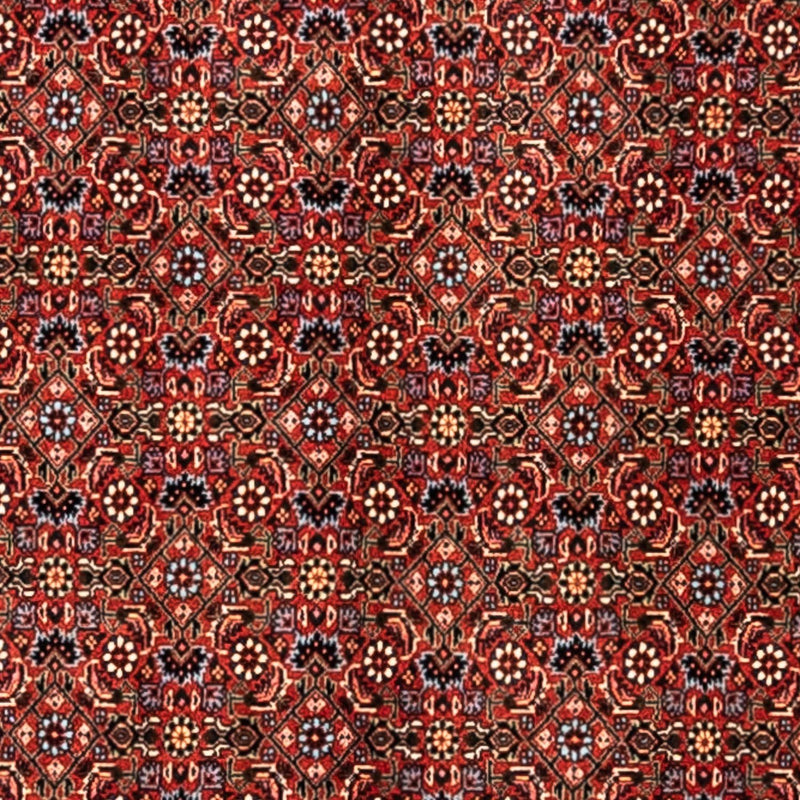 Bidjar - Takab Teppe 248x363cm - Persisk teppe