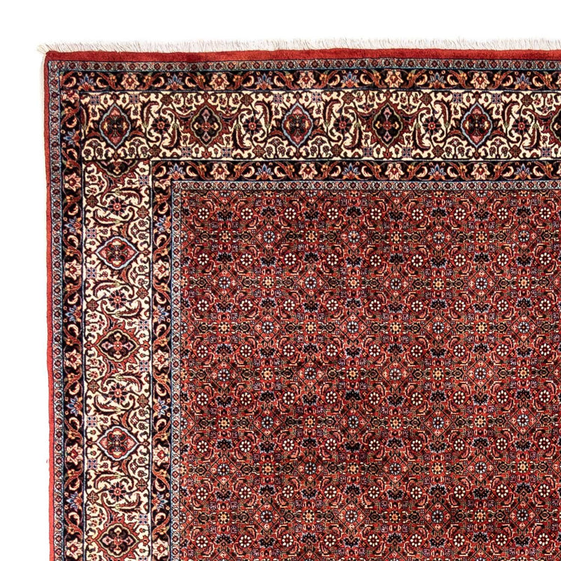 Bidjar - Takab Teppe 248x363cm - Persisk teppe