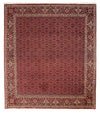 Bidjar Teppe 256x288cm - Persisk teppe - Rektangulær / Mørk rød / 256 x 288 cm Rektangulær