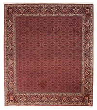 Bidjar Teppe 256x288cm - Persisk teppe – product image