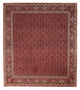 Bidjar Teppe 256x288cm - Persisk teppe
