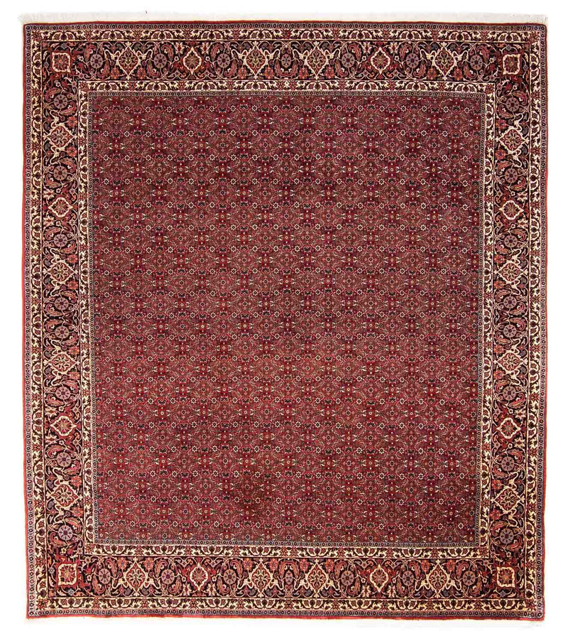 Bidjar Teppe 256x288cm - Persisk teppe
