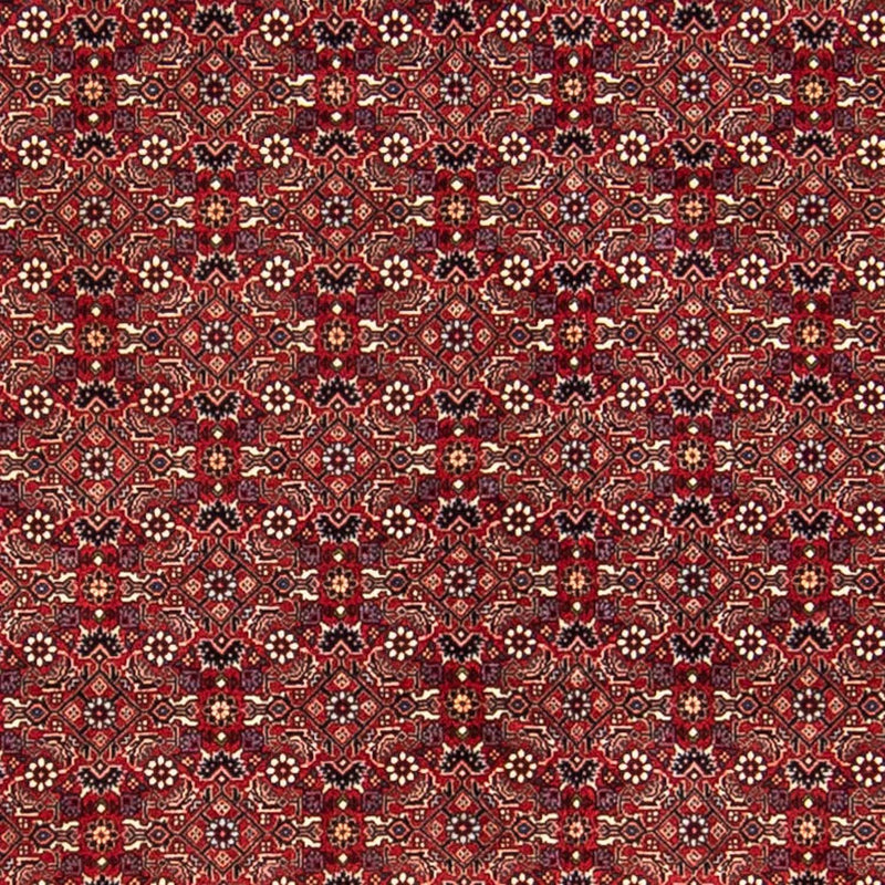 Bidjar Teppe 256x288cm - Persisk teppe