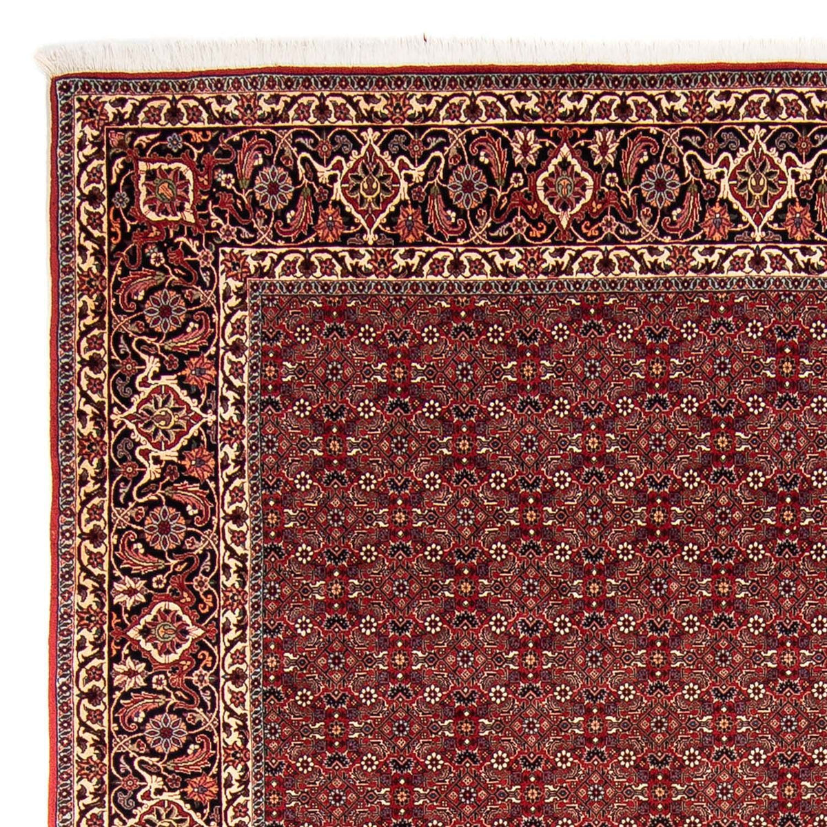 Bidjar Teppe 256x288cm - Persisk teppe