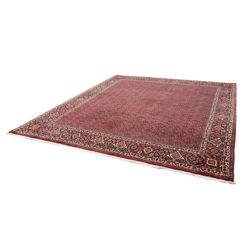 Bidjar Teppe 256x288cm - Persisk teppe