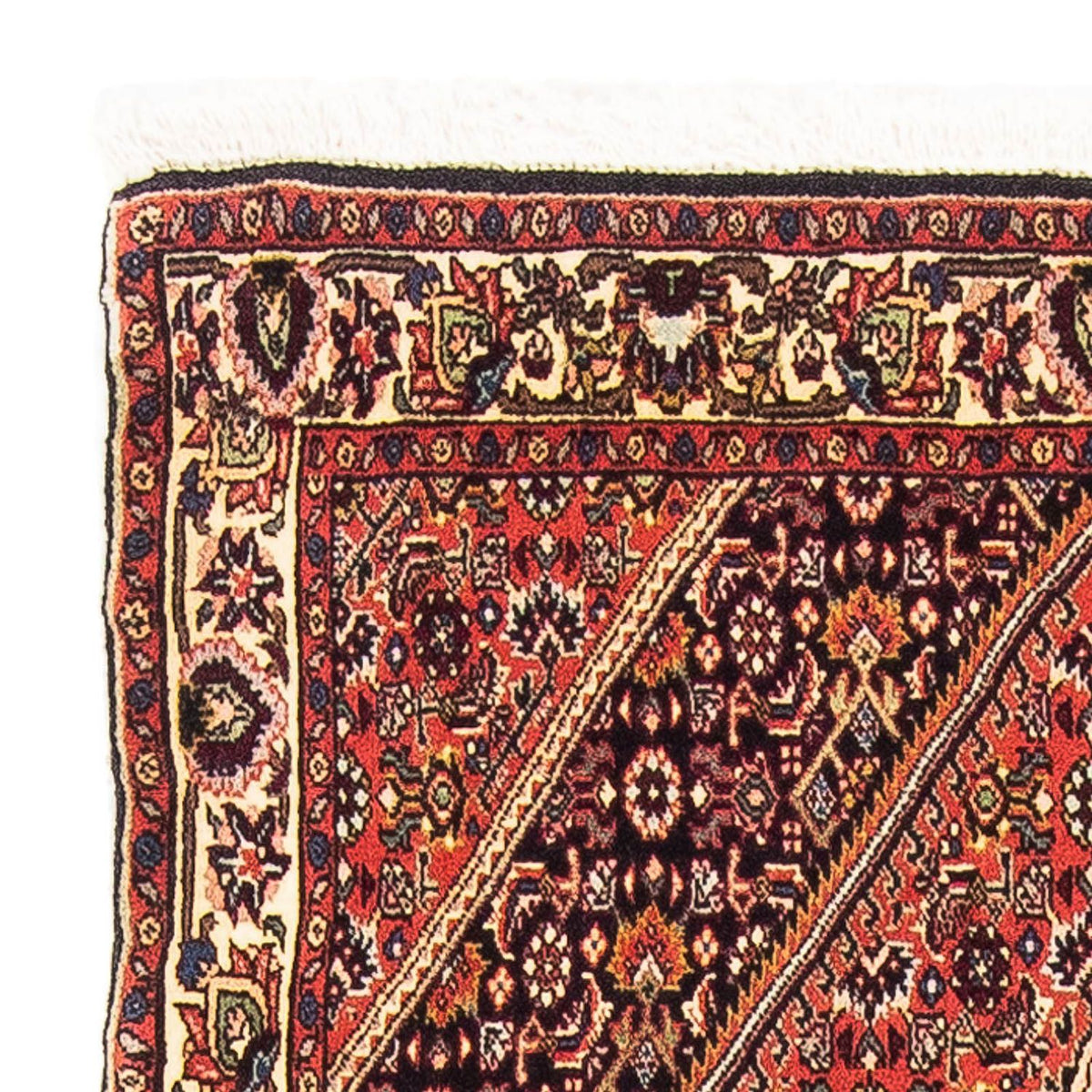 Bidjar - Zanjan Teppe 89x151cm - Persisk teppe