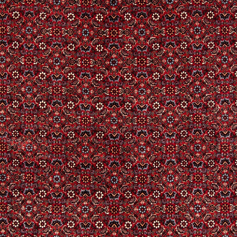 Bidjar Teppe 243x172cm - Persisk teppe