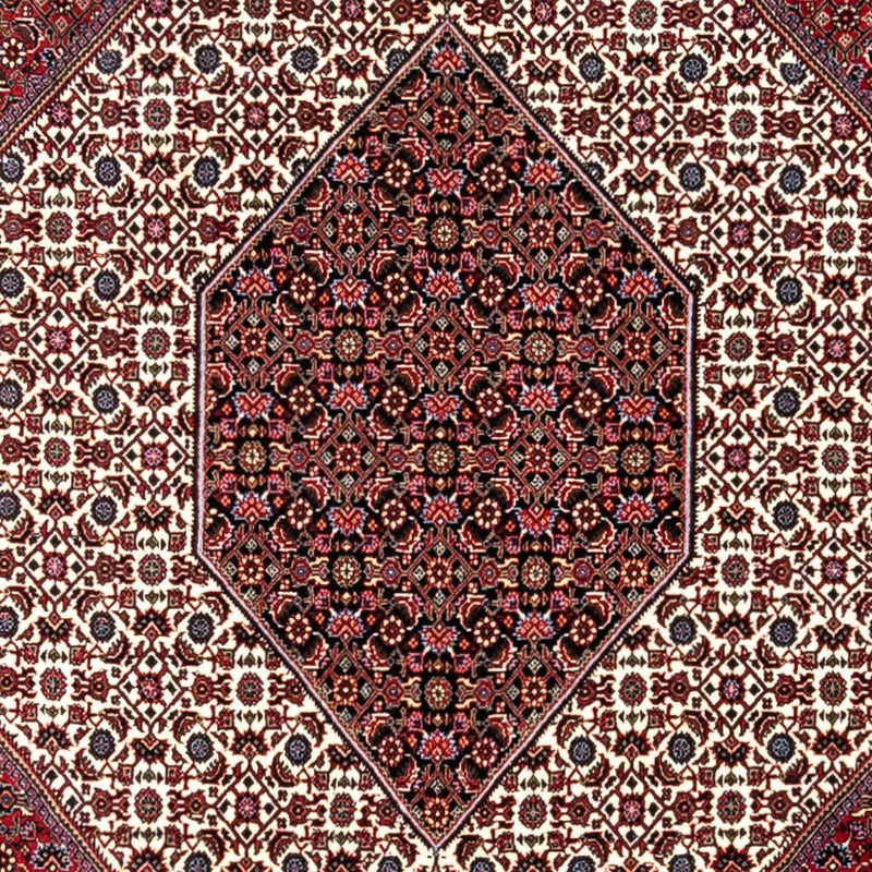Bidjar - Takab Teppe 340x254cm - Persisk teppe