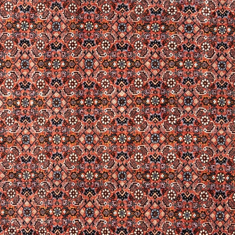Bidjar - Takab Teppe 288x206cm - Persisk teppe