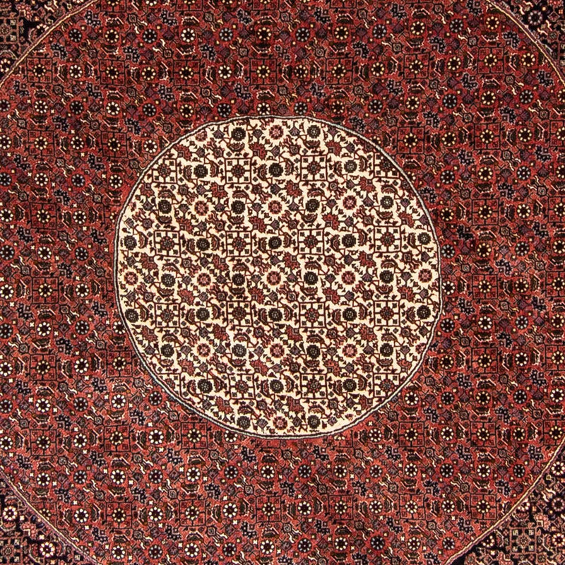 Bidjar Teppe 260x260cm - Persisk teppe