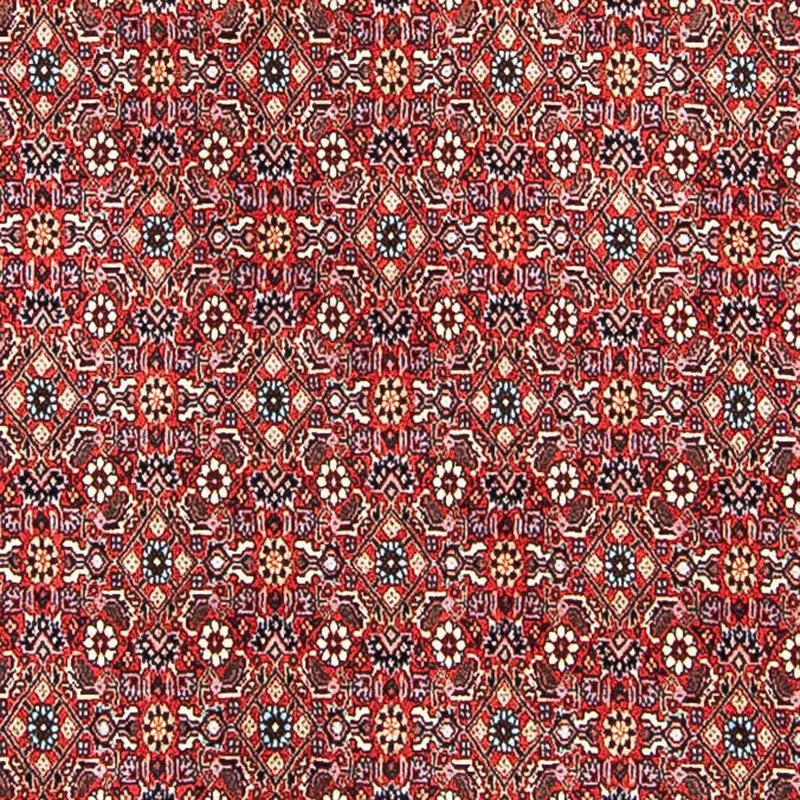 Bidjar Teppe 249x297cm - Persisk teppe