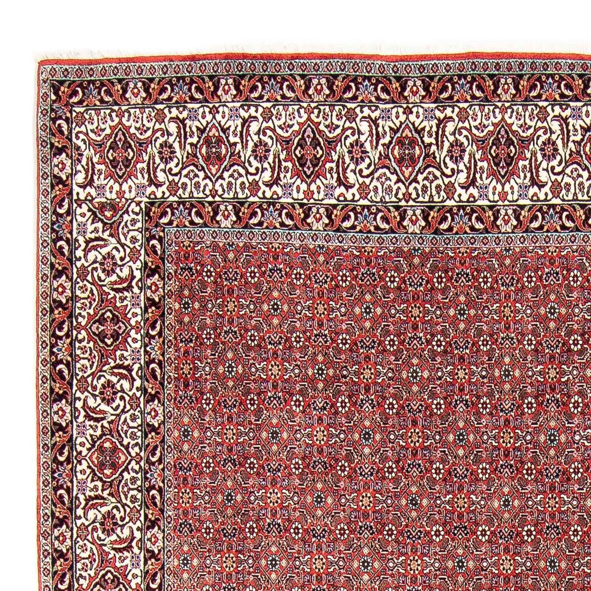 Bidjar Teppe 249x297cm - Persisk teppe