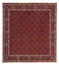 Bidjar Teppe 212x206cm - Persisk teppe – product image