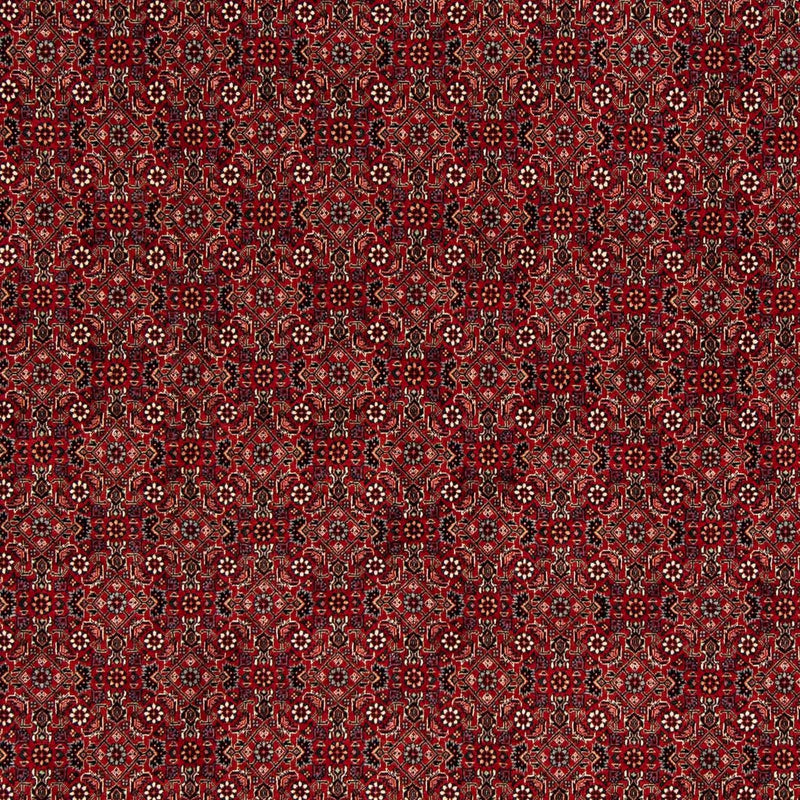 Bidjar Teppe 212x206cm - Persisk teppe