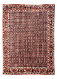 Bidjar - Takab Teppe 248x332cm - Persisk teppe – product image