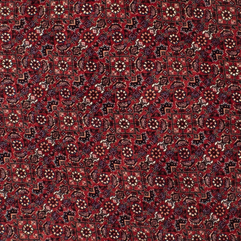 Bidjar Teppe 150x150cm - Persisk teppe