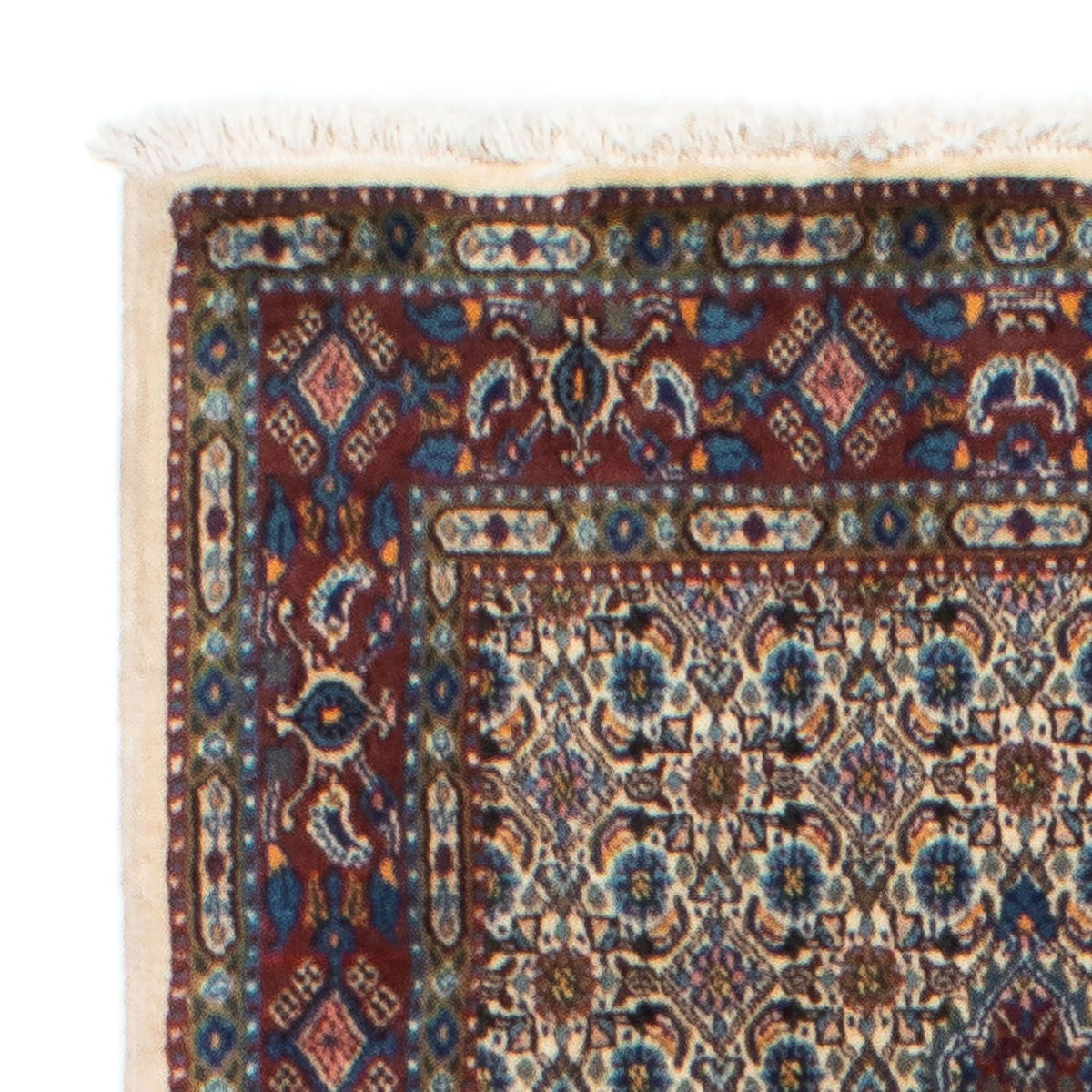 Moud Teppe 81x234cm - Persisk teppe
