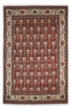 Kashkuli Teppe 261x175cm - Persisk teppe