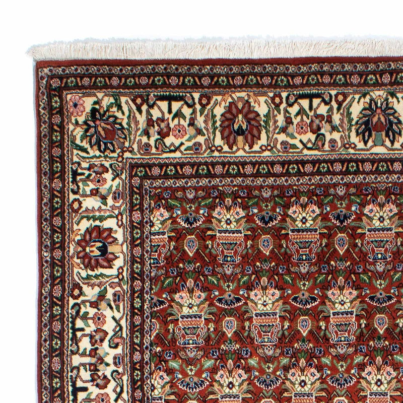 Kashkuli Teppe 261x175cm - Persisk teppe
