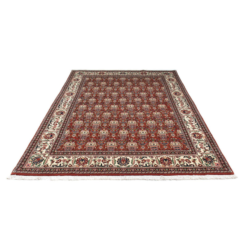 Kashkuli Teppe 261x175cm - Persisk teppe