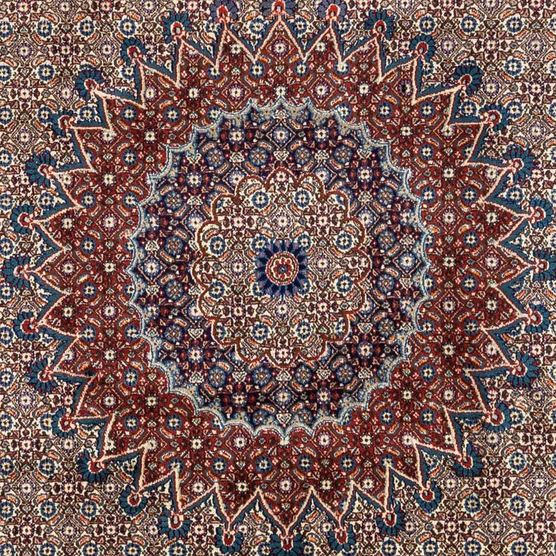 Moud Teppe 332x245cm - Persisk teppe