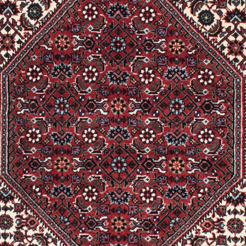 Bidjar - Zanjan Teppe 218x76cm - Persisk teppe
