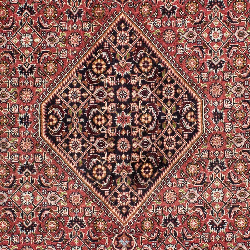 Bidjar - Zanjan Teppe 239x140cm - Persisk teppe