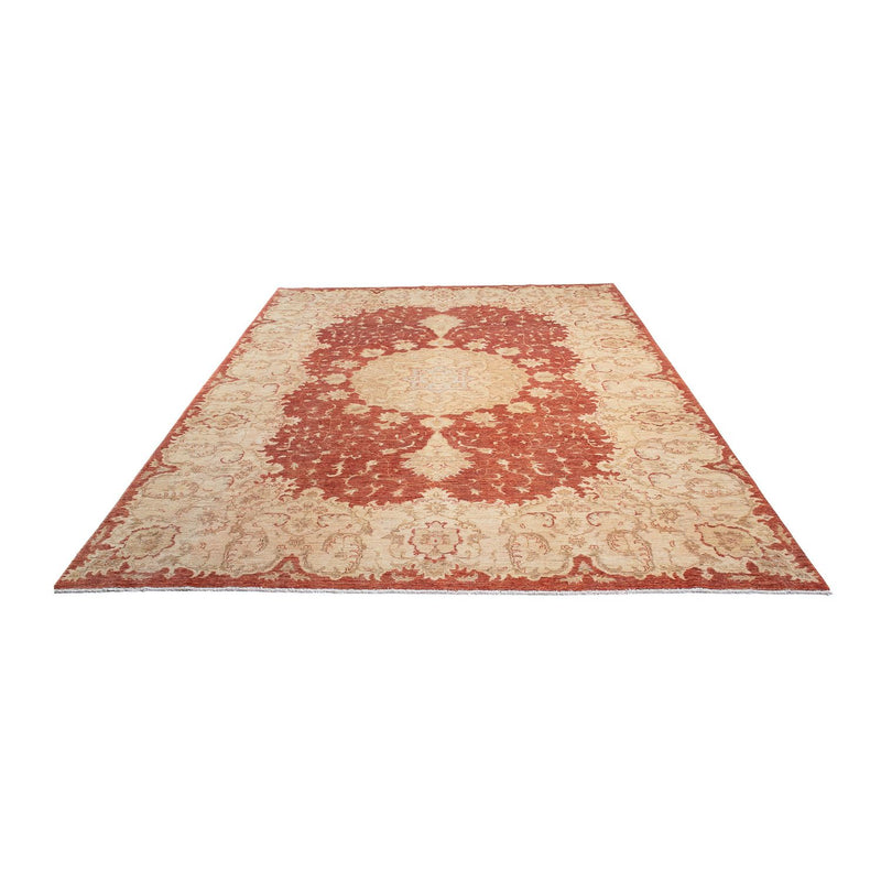 Ziegler Teppe 271x355cm - Orientalsk teppe