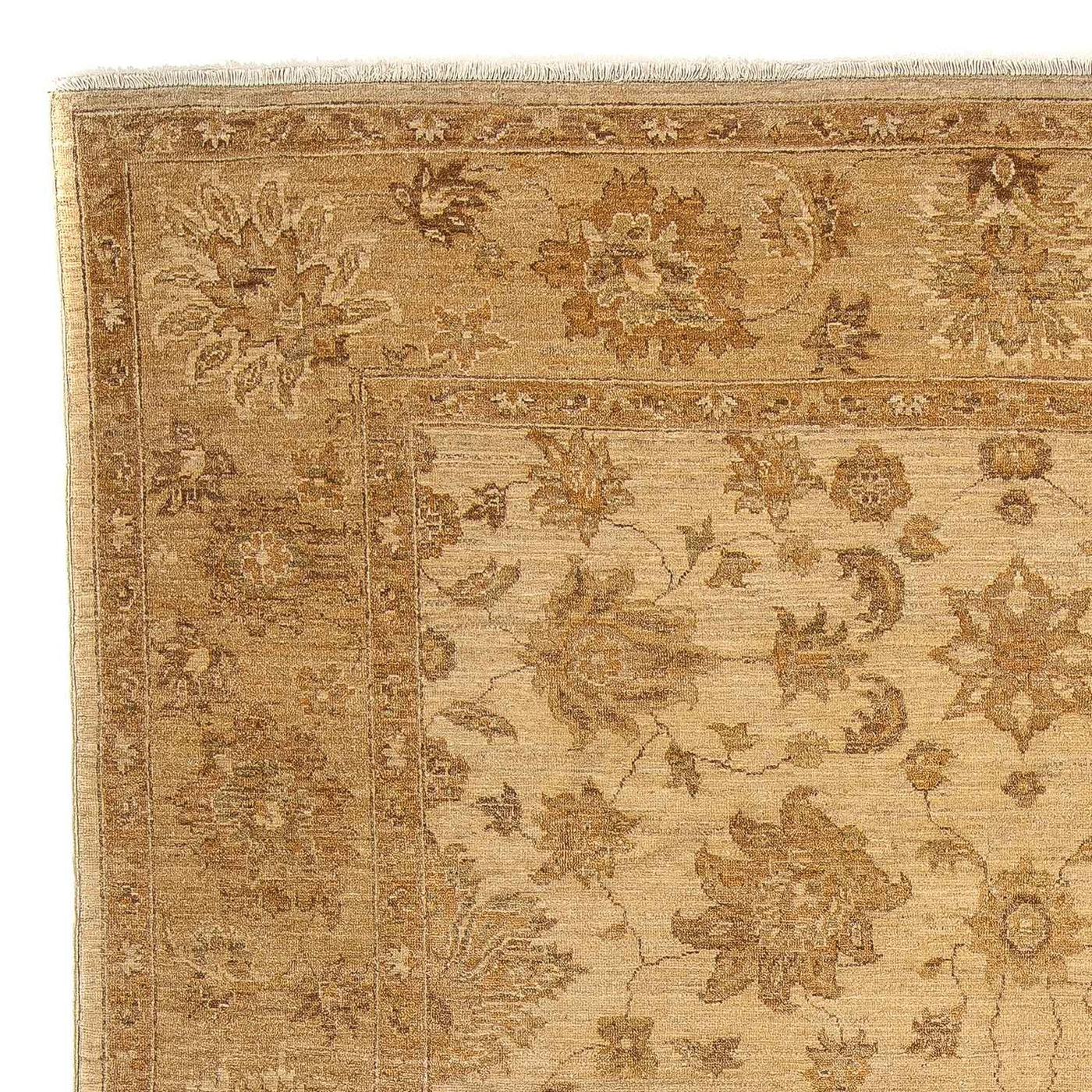 Ziegler Teppe 317x236cm - Orientalsk teppe