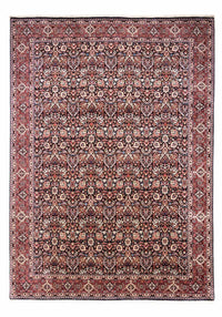 Bidjar - Takab Teppe 258x348cm - Persisk teppe – product image